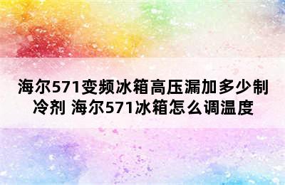 海尔571变频冰箱高压漏加多少制冷剂 海尔571冰箱怎么调温度